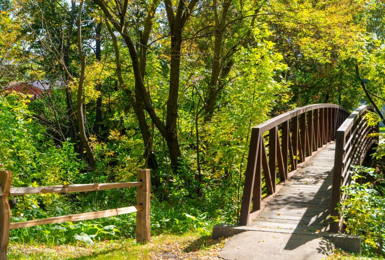 51633309356_7ddef1505f_k