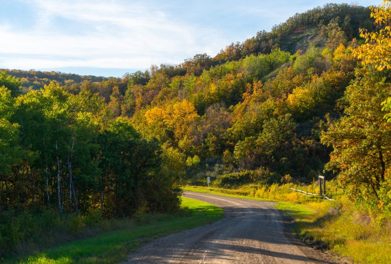 51633574773_b1fbab4fb0_k