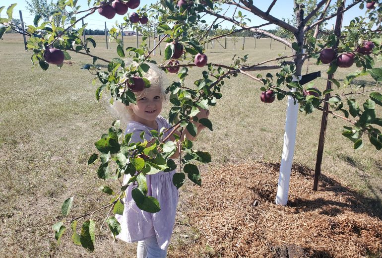 PC Community Orchard