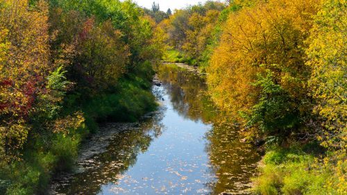 51633838718_4c393de943_k