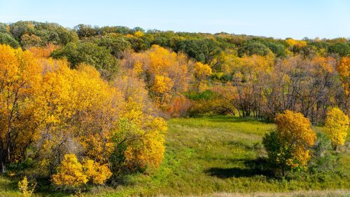 51634279984_742b1c2d8b_k